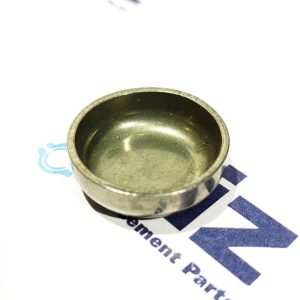 14282170 Заглушка головки блока Iveco (20мм)